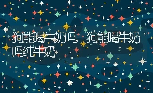 狗能喝牛奶吗,狗能喝牛奶吗纯牛奶 | 养殖科普