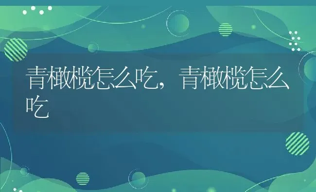 青橄榄怎么吃,青橄榄怎么吃 | 养殖科普