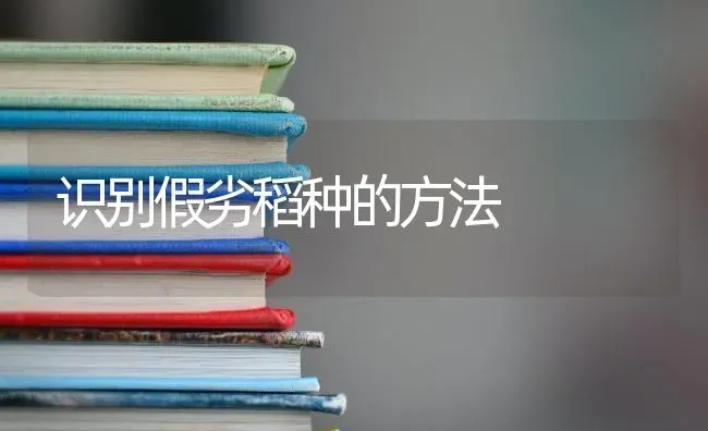 识别假劣稻种的方法 | 养殖技术大全