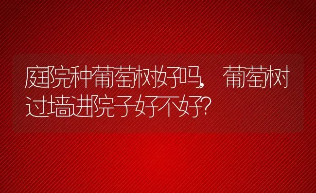 庭院种葡萄树好吗,葡萄树过墙进院子好不好？ | 养殖科普
