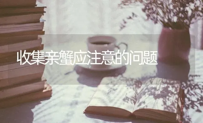 收集亲蟹应注意的问题 | 养殖技术大全