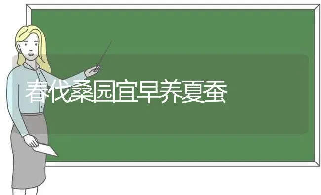 春伐桑园宜早养夏蚕 | 养殖知识