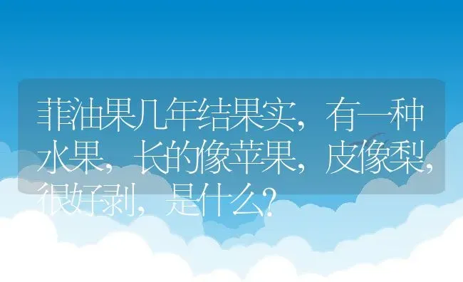 菲油果几年结果实,有一种水果，长的像苹果，皮像梨，很好剥，是什么？ | 养殖科普