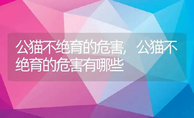 公猫不绝育的危害,公猫不绝育的危害有哪些 | 养殖资料