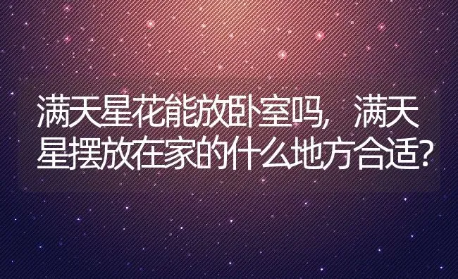 满天星花能放卧室吗,满天星摆放在家的什么地方合适？ | 养殖科普