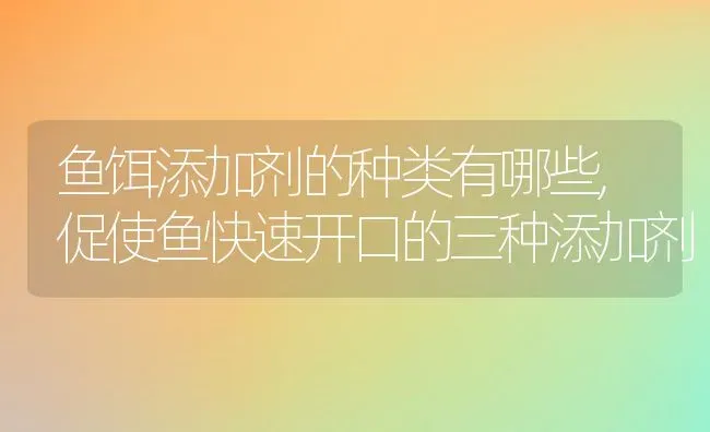 鱼饵添加剂的种类有哪些,促使鱼快速开口的三种添加剂 | 养殖学堂