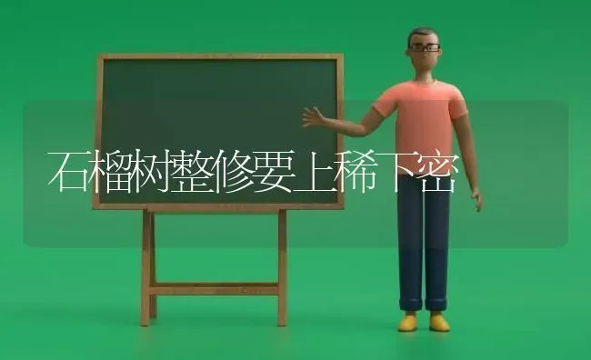 石榴树整修要上稀下密 | 养殖知识