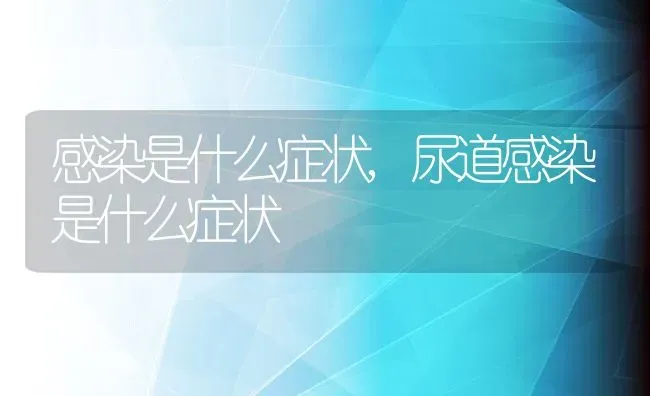 感染是什么症状,尿道感染是什么症状 | 养殖科普