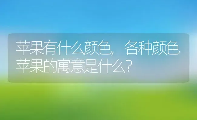 苹果有什么颜色,各种颜色苹果的寓意是什么？ | 养殖科普