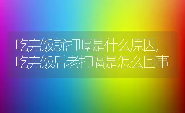 吃完饭就打嗝是什么原因,吃完饭后老打嗝是怎么回事 | 养殖学堂