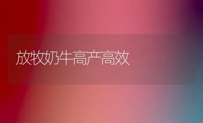 放牧奶牛高产高效 | 养殖知识