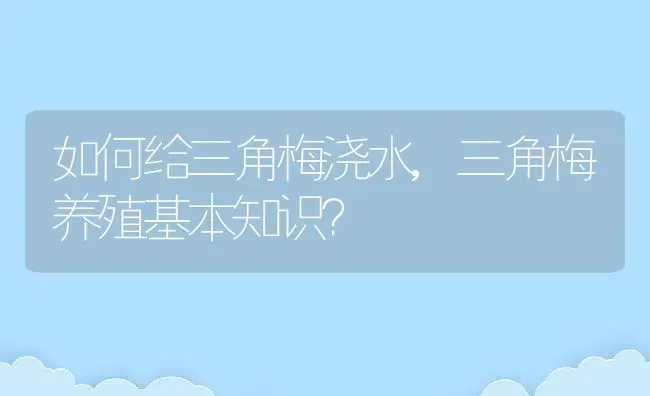 如何给三角梅浇水,三角梅养殖基本知识？ | 养殖科普