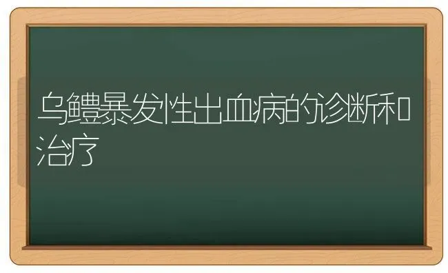 乌鳢暴发性出血病的诊断和治疗 | 养殖技术大全