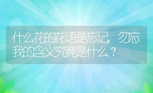 什么花的花语是忘记,勿忘我的含义究竟是什么？ | 养殖科普
