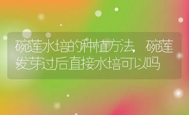 碗莲水培的种植方法,碗莲发芽过后直接水培可以吗 | 养殖学堂