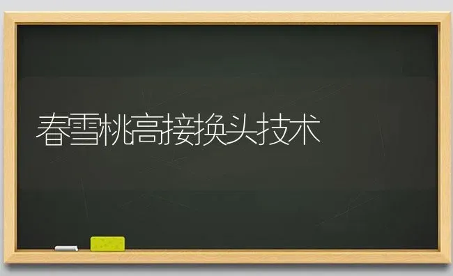 春雪桃高接换头技术 | 养殖知识