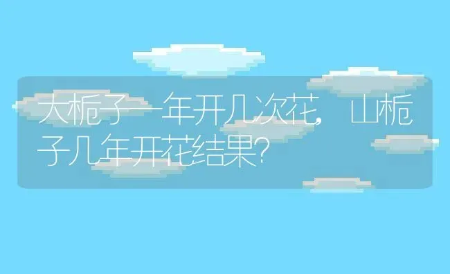 大栀子一年开几次花,山栀子几年开花结果？ | 养殖科普