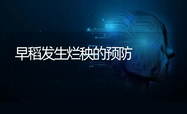 早稻发生烂秧的预防 | 养殖技术大全