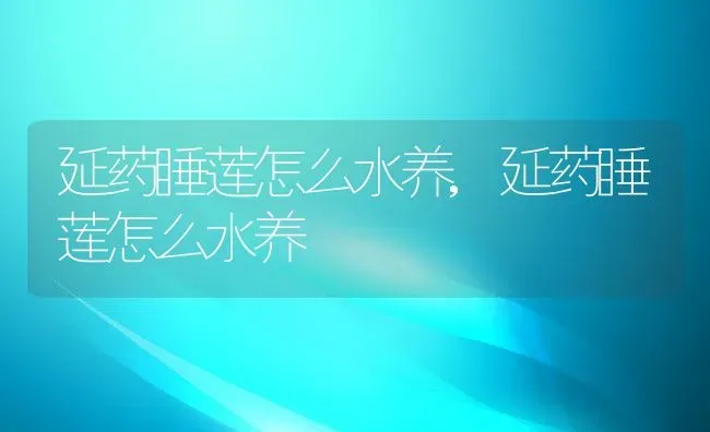 延药睡莲怎么水养,延药睡莲怎么水养 | 养殖科普