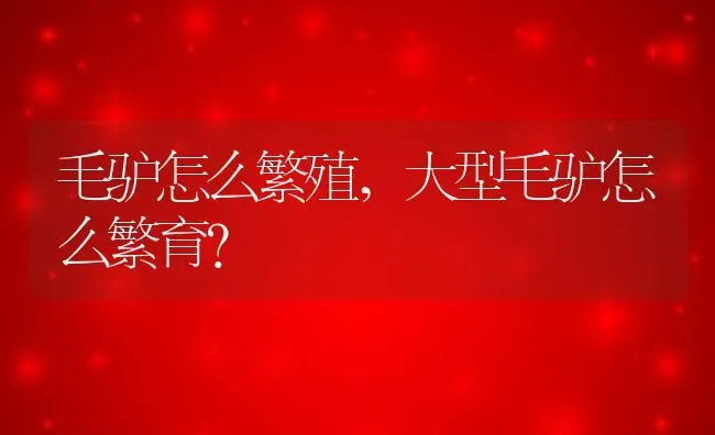 毛驴怎么繁殖,大型毛驴怎么繁育？ | 养殖科普
