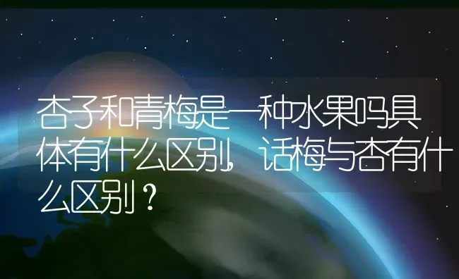 杏子和青梅是一种水果吗具体有什么区别,话梅与杏有什么区别？ | 养殖科普