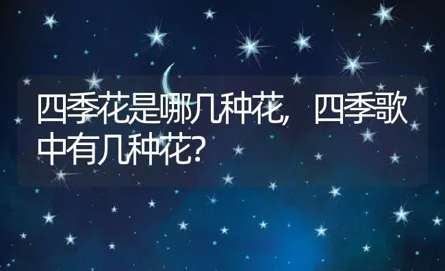 四季花是哪几种花,四季歌中有几种花？ | 养殖科普