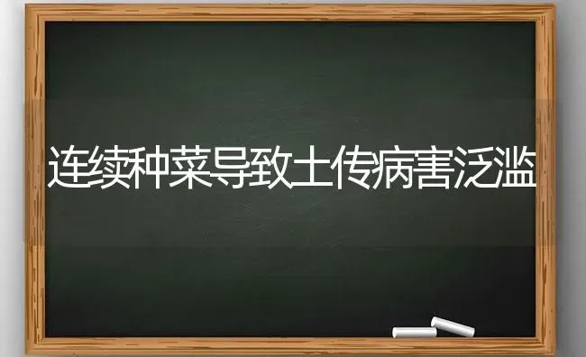 四个月育肥肉犬技术 | 养殖技术大全