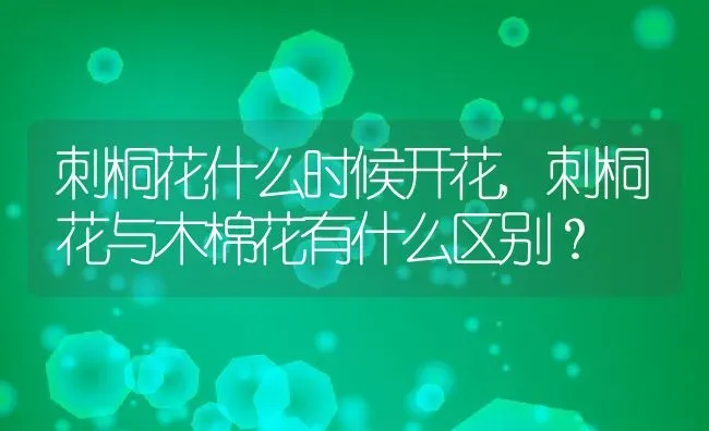 刺桐花什么时候开花,刺桐花与木棉花有什么区别？ | 养殖科普