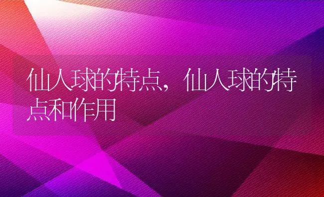 仙人球的特点,仙人球的特点和作用 | 养殖资料