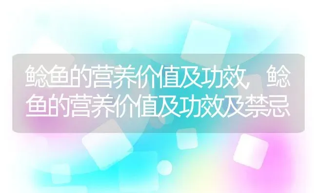 鲶鱼的营养价值及功效,鲶鱼的营养价值及功效及禁忌 | 养殖资料