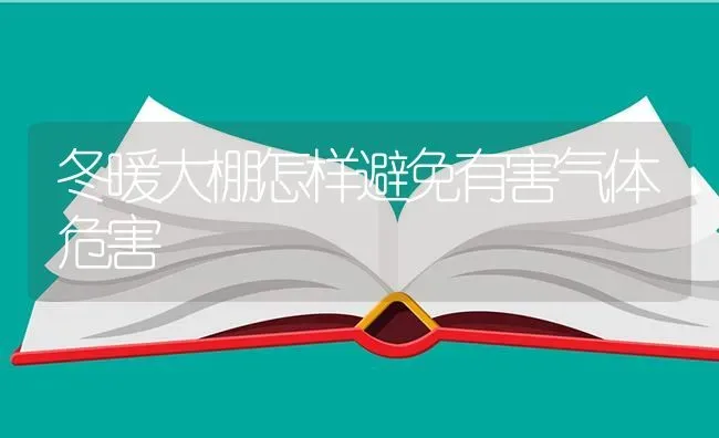 冬暖大棚怎样避免有害气体危害 | 养殖知识