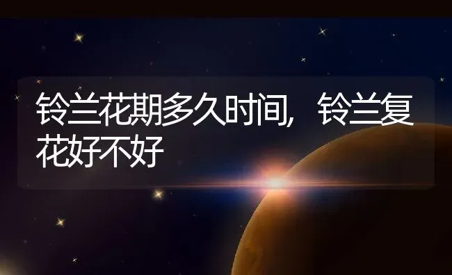 铃兰花期多久时间,铃兰复花好不好 | 养殖学堂
