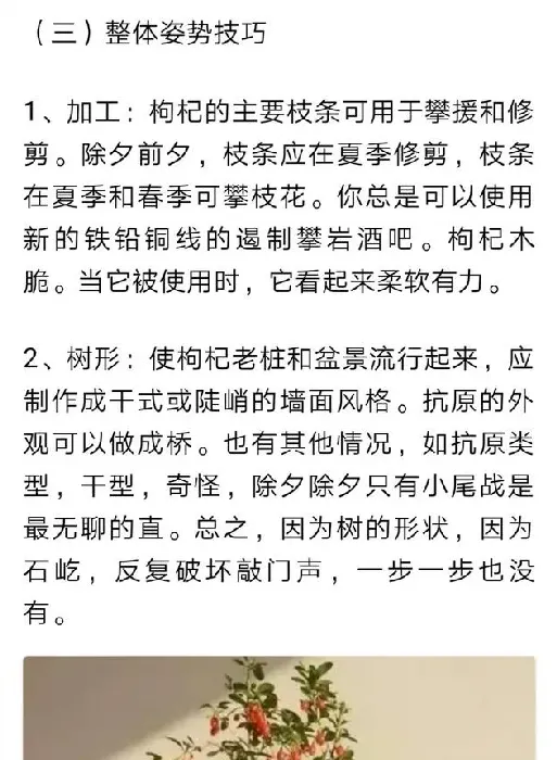 枸杞盆景的制作方法,不去买苗子，如何自己在家里种枸杞做盆栽？