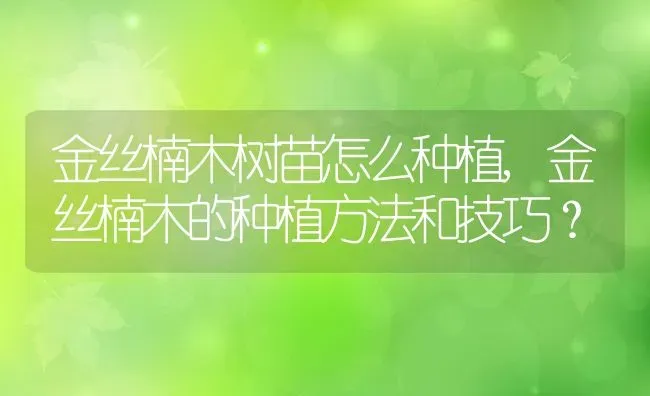 金丝楠木树苗怎么种植,金丝楠木的种植方法和技巧？ | 养殖科普