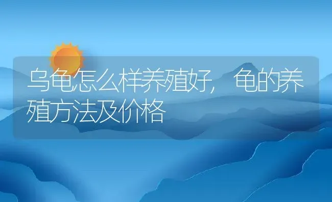 乌龟怎么样养殖好,龟的养殖方法及价格 | 养殖学堂