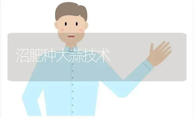 沼肥种大蒜技术 | 养殖知识