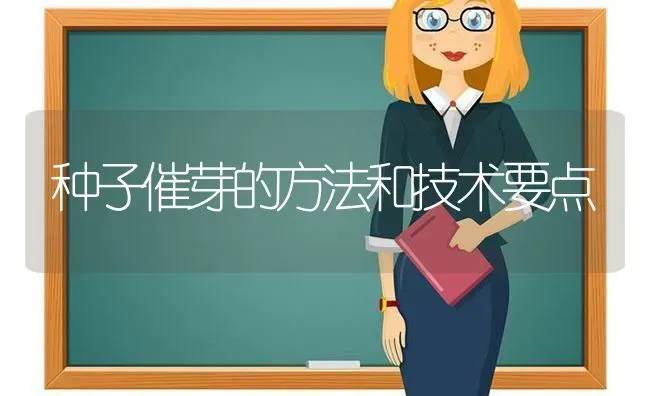 种子催芽的方法和技术要点 | 养殖技术大全