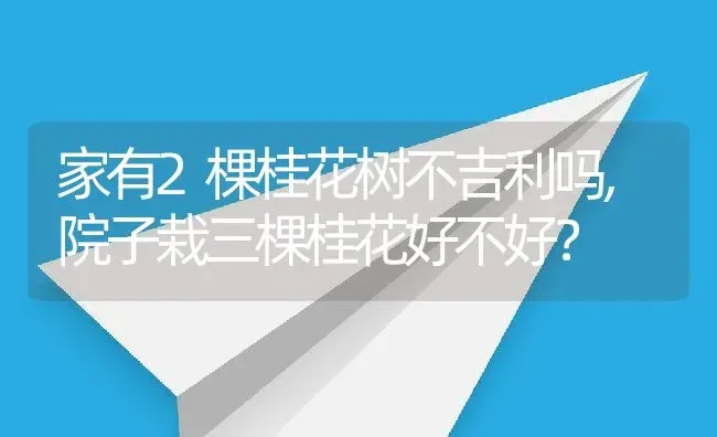 家有2棵桂花树不吉利吗,院子栽三棵桂花好不好？ | 养殖学堂