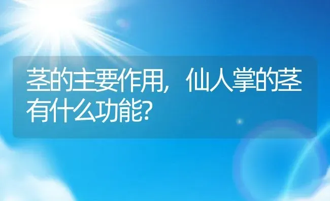 茎的主要作用,仙人掌的茎有什么功能？ | 养殖科普