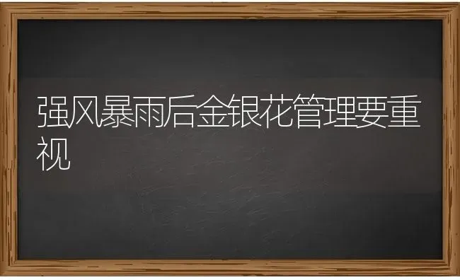 强风暴雨后金银花管理要重视 | 养殖技术大全