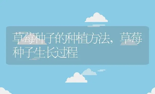草莓种子的种植方法,草莓种子生长过程 | 养殖学堂