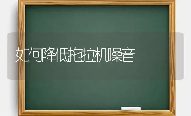 如何降低拖拉机噪音 | 养殖知识