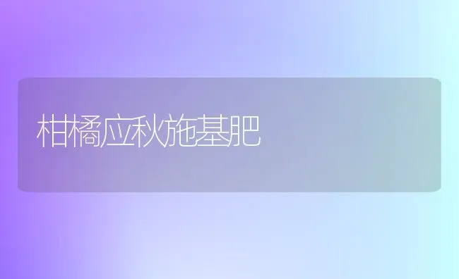 柑橘应秋施基肥 | 养殖知识