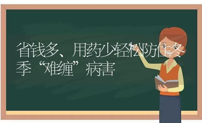 省钱多、用药少轻松防住冬季“难缠”病害 | 养殖技术大全