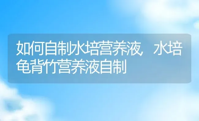 如何自制水培营养液,水培龟背竹营养液自制 | 养殖学堂