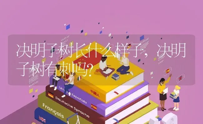 决明子树长什么样子,决明子树有刺吗？ | 养殖科普