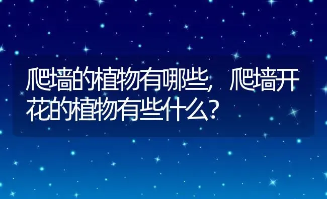 爬墙的植物有哪些,爬墙开花的植物有些什么？ | 养殖科普