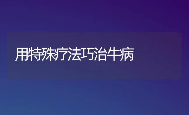 用特殊疗法巧治牛病 | 养殖知识