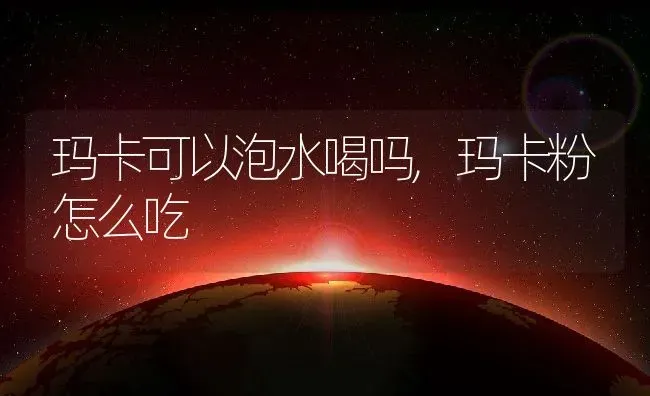 玛卡可以泡水喝吗,玛卡粉怎么吃 | 养殖学堂