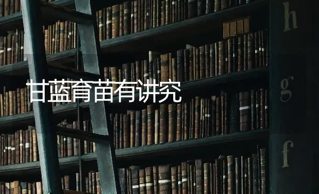 甘蓝育苗有讲究 | 养殖知识